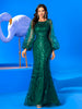 Casual Standard Long Sleeve Commonly Mermaid Skirt Lace Dress