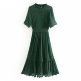 Elegant Pleated Lace Embroidery Stylish Dress