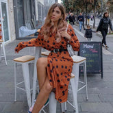 Embroidery Polka Dot Midi Dress
