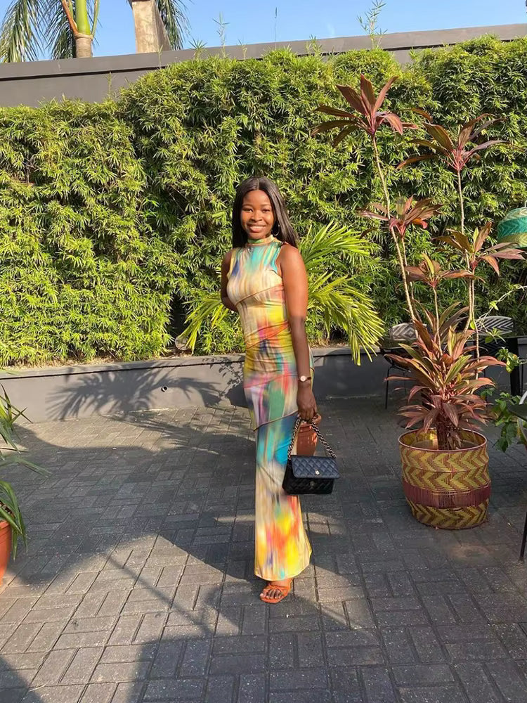 Elegant Colorful Sleeveless Patchwork Skinny Print Bodycon Maxi Dress