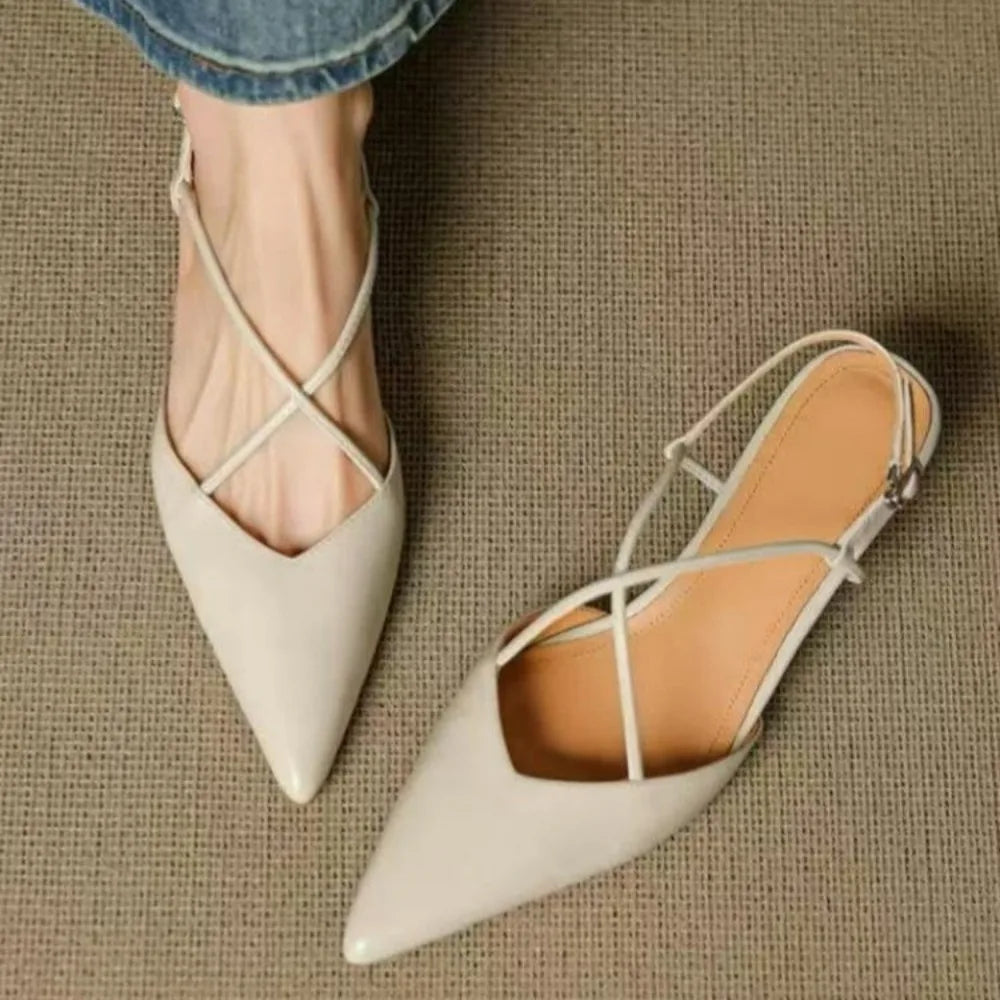 Pointed Toe Low Heel