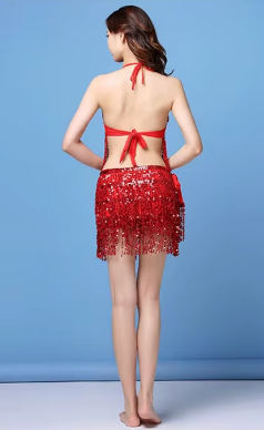 Belly Dance Top Bra Belt Latin Sequin Fringe Halter Hip Skirt Party Costume 4 Layer Tassel Two Piece Set