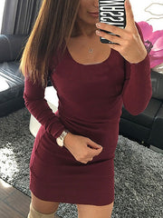 Bodycon Dresses Jewel Neck Slim Fit Sheath Dress