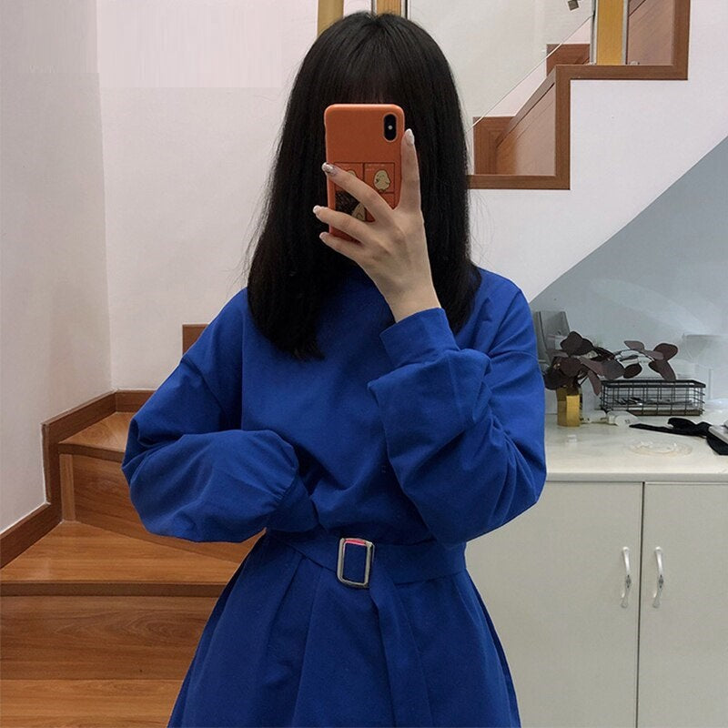 Casual A-line Dress Loose Lantern Sleeve Dress