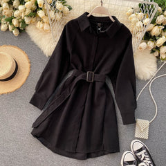 Casual Blouse Turn-down Collar Long Sleeve Short A-line Streetwear Dress