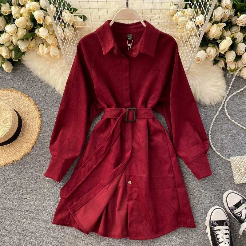 Casual Blouse Turn-down Collar Long Sleeve Short A-line Streetwear Dress