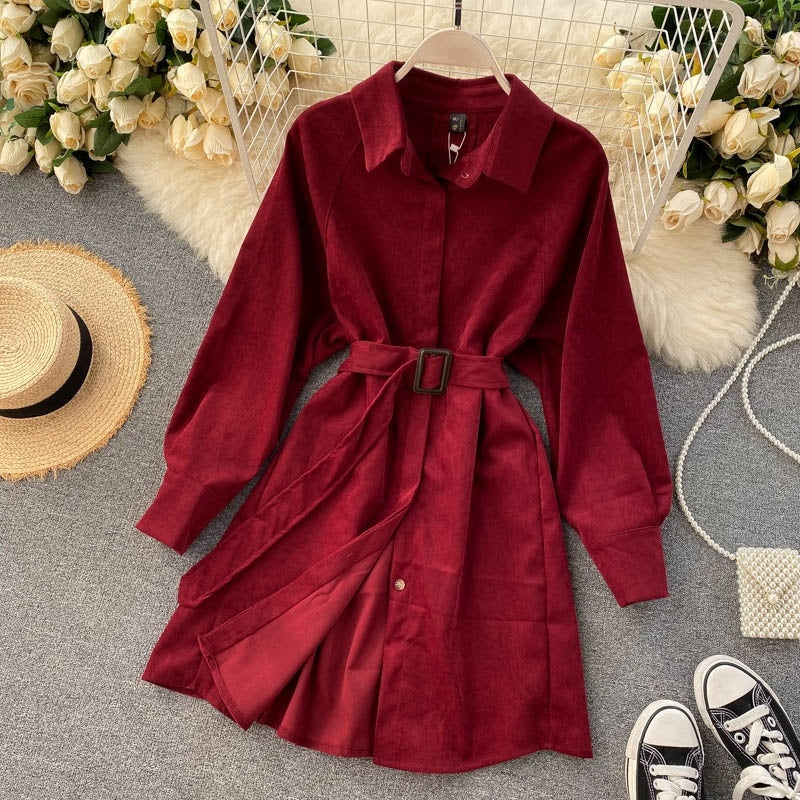 Casual Blouse Turn-down Collar Long Sleeve Short A-line Streetwear Dress