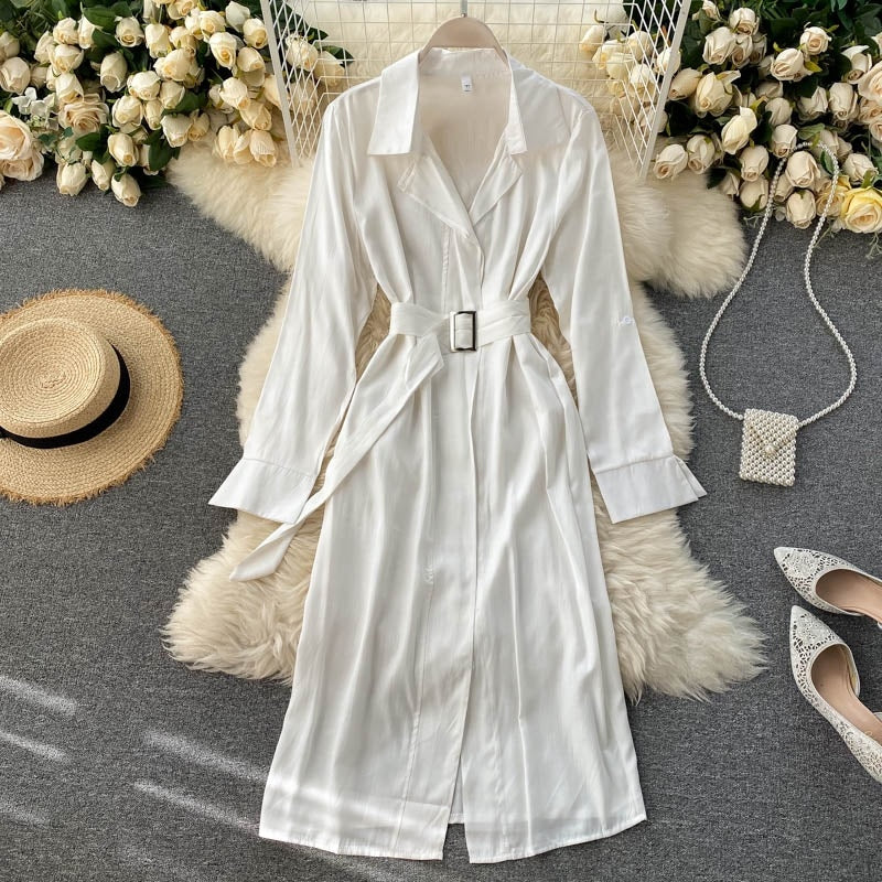 Casual Chic Long Sleeve A-line Streetwear Midi Long Dress