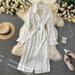 Casual Chic Long Sleeve A-line Streetwear Midi Long Dress