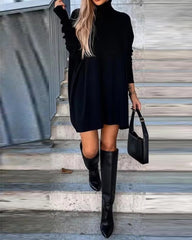 Casual High Neck Long Sleeve Straight High Street Mini Knit Sweater Dress