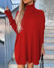 Casual High Neck Long Sleeve Straight High Street Mini Knit Sweater Dress