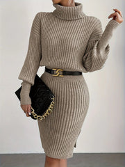 Casual Simple Turtleneck Knitted Slight Stretch Pullover Dress