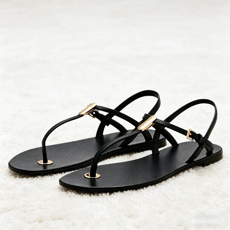 Concise Clip Toe Flat Sandals Ankle Strap Buckle Gladiator Sandals for Girl Luxury Metal Detail Beach Shoes