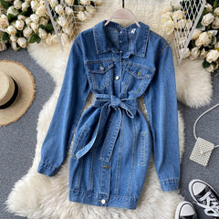 Denim Short Turn-down Collar Long Sleeve Button Slim Streetwear Dress