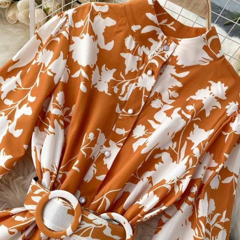Design Stand Collar Button Wind Print Maxi Dress