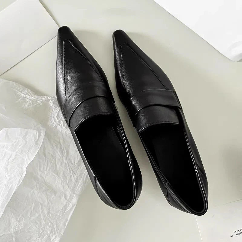 Designer Pointed Toe Low Heel