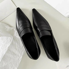 Designer Pointed Toe Low Heel