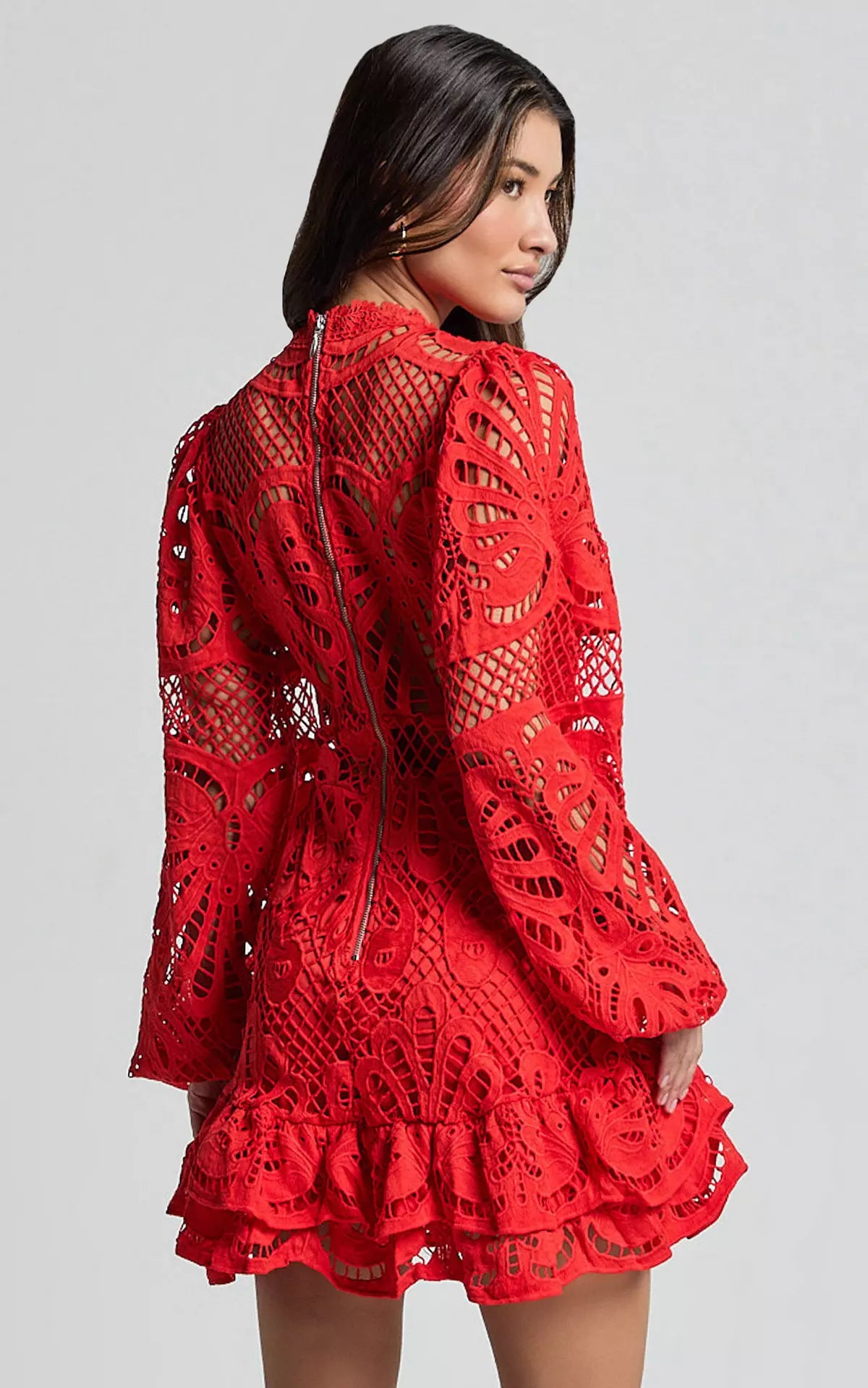 Elegant A-line Stand Collar Zipper Puff Sleeve Lace Mini Dress