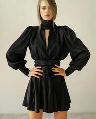 Elegant Loose Turtleneck Long Sleeve Streetwear Hollow Out Mini Dresses