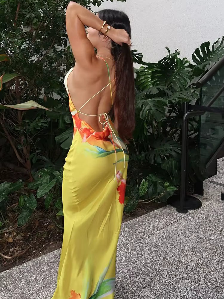 Elegant Floral Printed Backless Lace-Up Swing Collar Beach Style Maxi Dress
