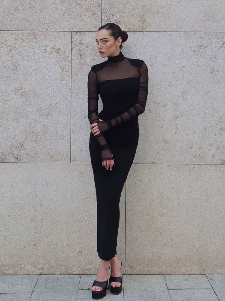 Elegant Mesh Patchwork Full Sleeve See Through Turtle Neck Maxi Dress