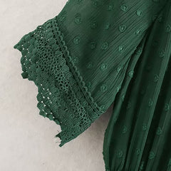 Elegant Pleated Lace Embroidery Stylish Dress
