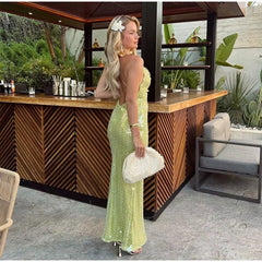 Elegant Pullover Backless Sequins Long Bodycon Maxi Dress