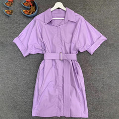 Elegant Runway Designer Solid Pockets Sashes Mini Dress