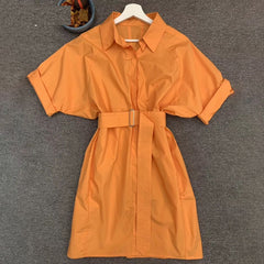 Elegant Runway Designer Solid Pockets Sashes Mini Dress