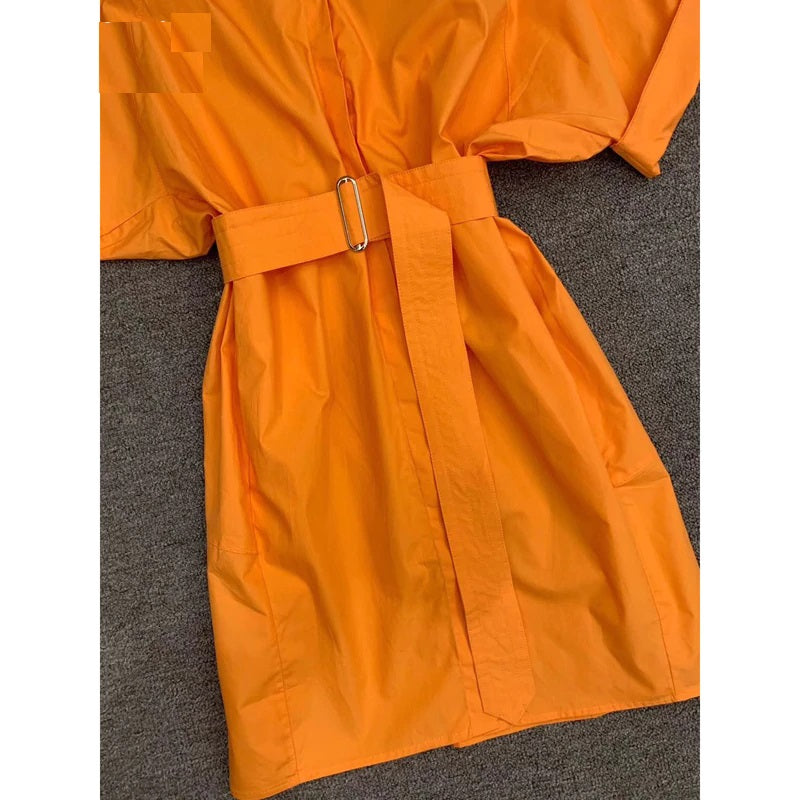 Elegant Runway Designer Solid Pockets Sashes Mini Dress