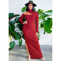 Elegant Side-slit Turtle Neck Solid Color Knitted Dress
