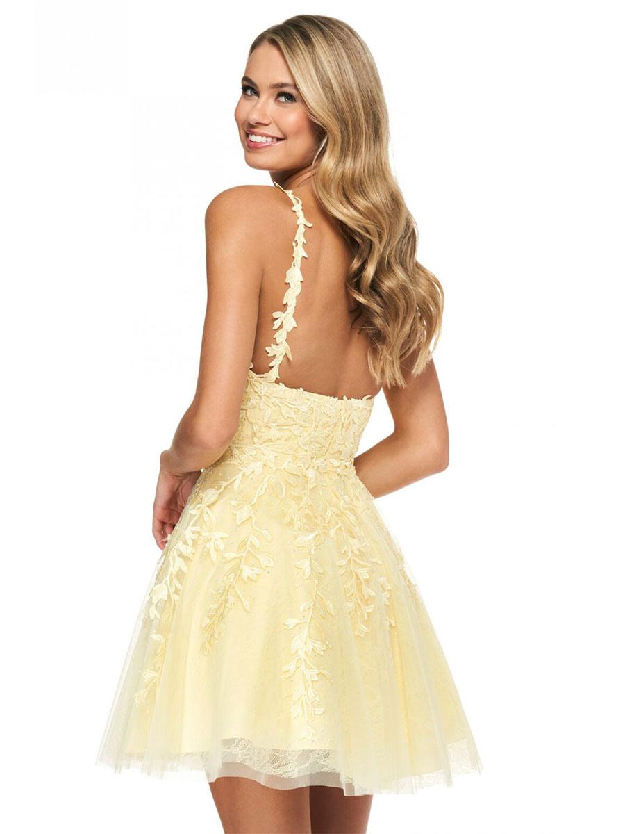 Elegant Sleeveless Short A-Line V-Neck Lace Homecoming Mini Dress