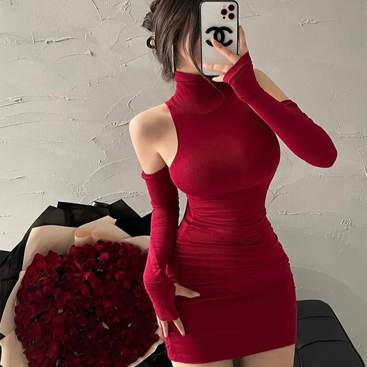 Elegant Solid Color High Neck Slim Fit Evening Party Mini Dress