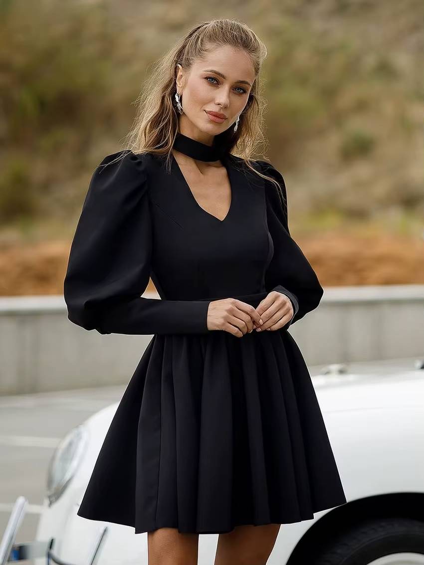 Elegant Stand Collar Long Sleeve High Waist Pleated Mini Dress