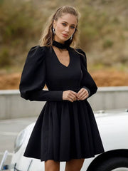 Elegant Stand Collar Long Sleeve High Waist Pleated Mini Dress