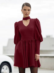 Elegant Stand Collar Long Sleeve High Waist Pleated Mini Dress
