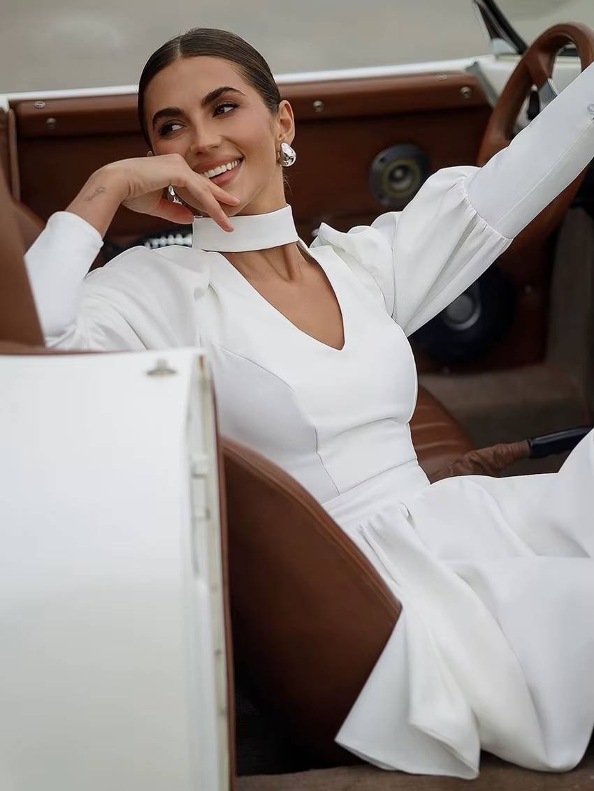 Elegant Stand Collar Long Sleeve High Waist Pleated Mini Dress