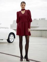 Elegant Stand Collar Long Sleeve High Waist Pleated Mini Dress