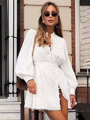Elegant Stand Collar Long Sleeve Puff Sleeve Shirt Belted Mini Dress
