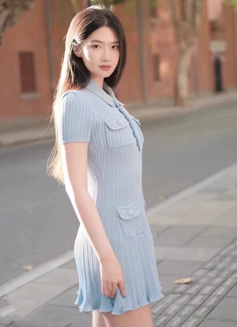 Polo Neck Short Sleeve Elastic Slim Fit Multi Pocket Wrapped Hip Skirt Knitted Dress