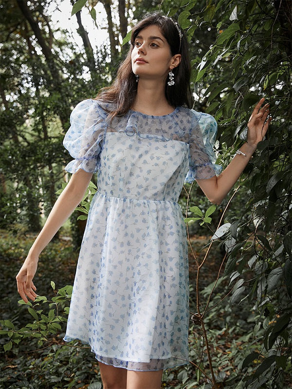 Floral Print Ruffle Puff Sleeve Bowknot Back Dress