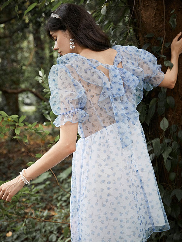 Floral Print Ruffle Puff Sleeve Bowknot Back Dress
