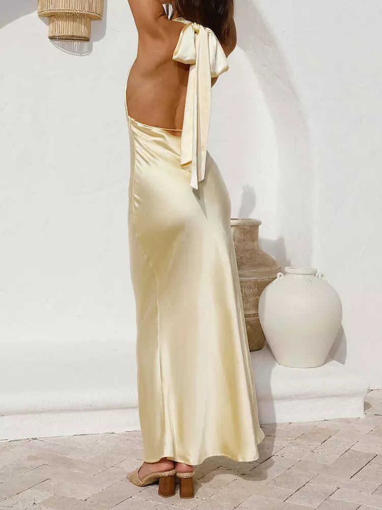 Halter Neck With Deep V-Neck And Backless Design Party Long Dress