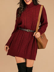 High Collar Long Sleeves Knit Sweater Dresses