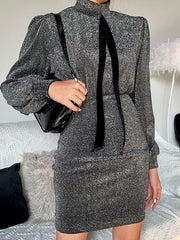 Elegant High Collar Long Sleeves Pencil Bodycon Dress