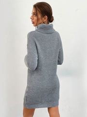 Knitted Dress For Women Pretty Long Sleeves Turndown Collar