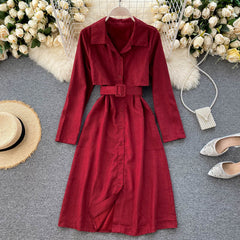 Korean Long Sleeve A-line Style Elegant Solid Office Dresses