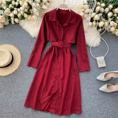 Korean Long Sleeve A-line Style Elegant Solid Office Dresses
