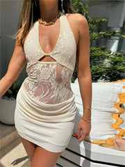 Lace Sheer Backless V-neck Embroidered Patchwork Solid Trend Party Bodycon Dress