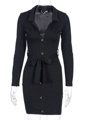 Elegant Lace Up Turndown Collar Sheath Bodycon Mini Dress